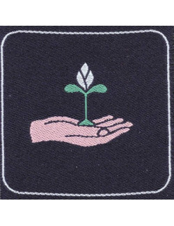 Distintivo Brevetto Amico della natura E/G Agesci