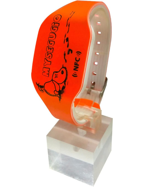 INNOVACARE - MySegugio -...